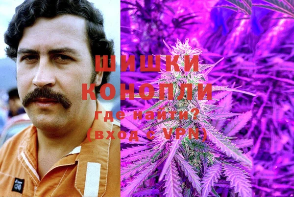 индика Верхнеуральск
